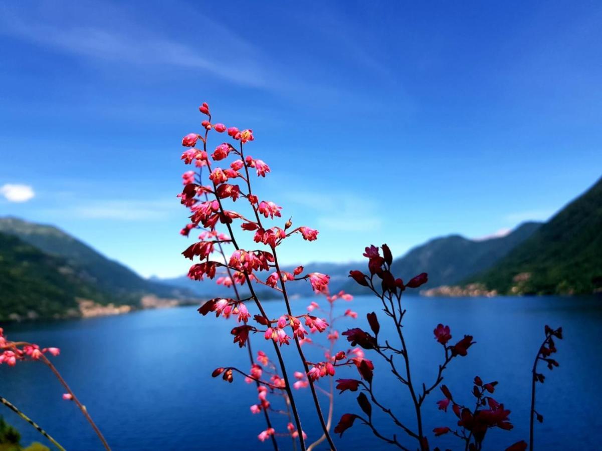 La Rondinella - Loft With Fantastic View On Lake Como Apartment อาร์เจโญ ภายนอก รูปภาพ